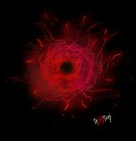 bloodmagic