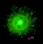 naturemagic