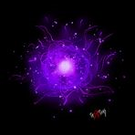 shadowmagic